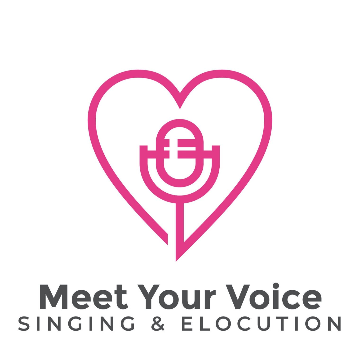 Meet Your Voice 