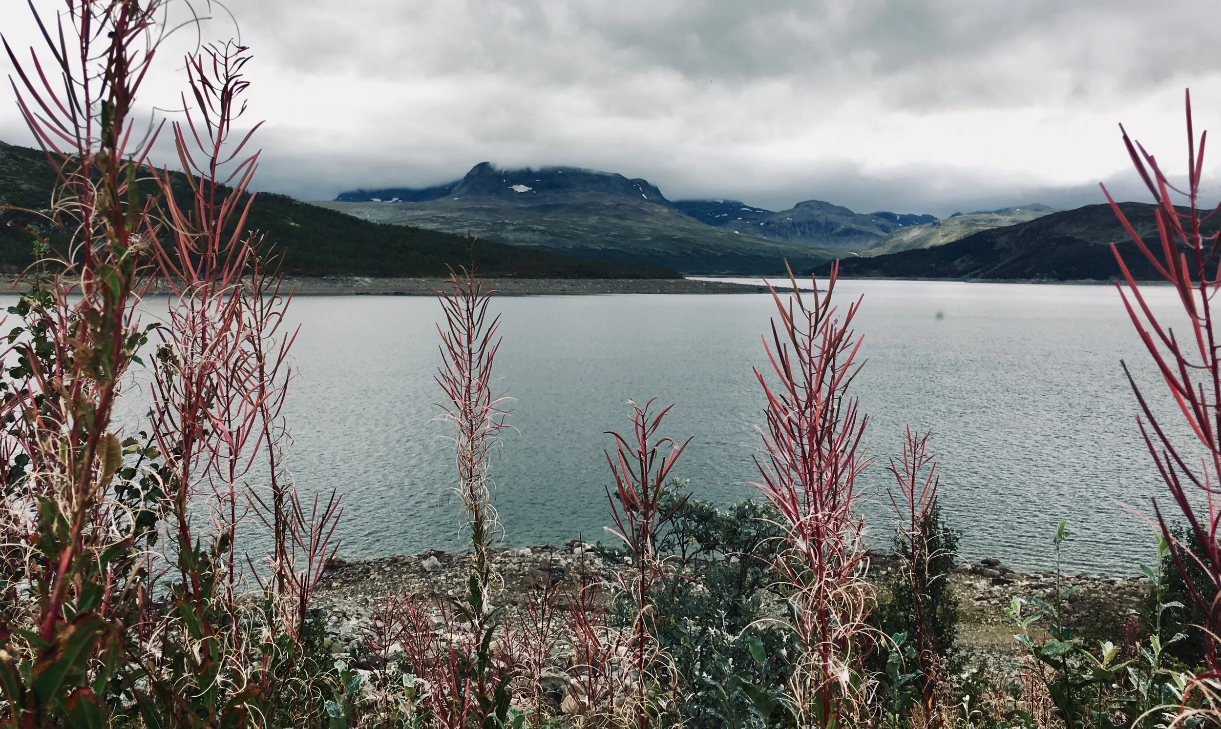 view at our lunch stop on the road in Norway