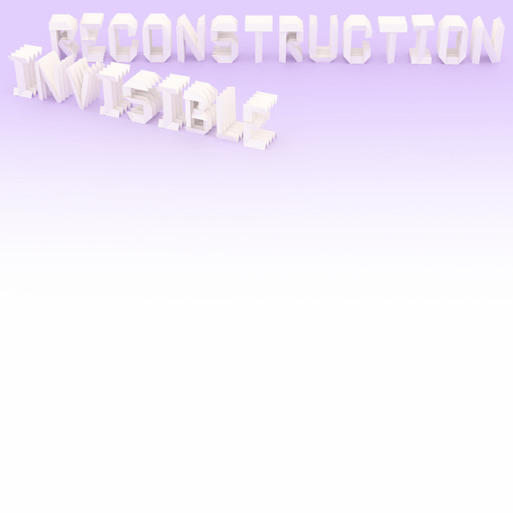 Invisible Reconstruction