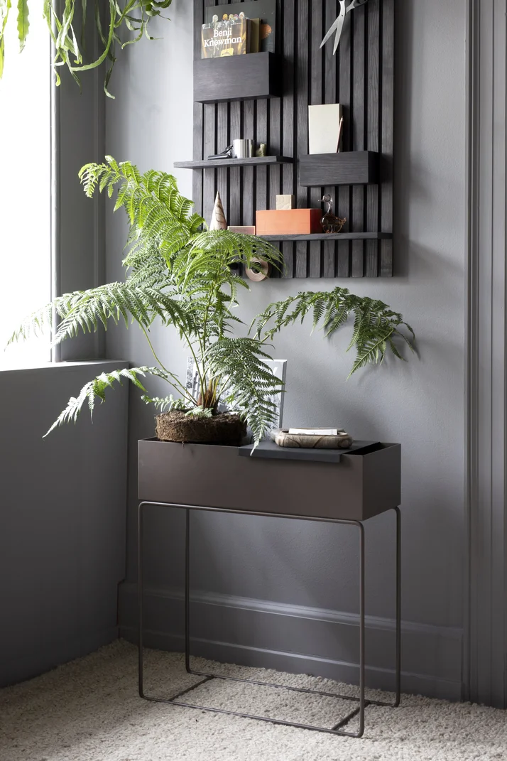 Green Living4473.jpg