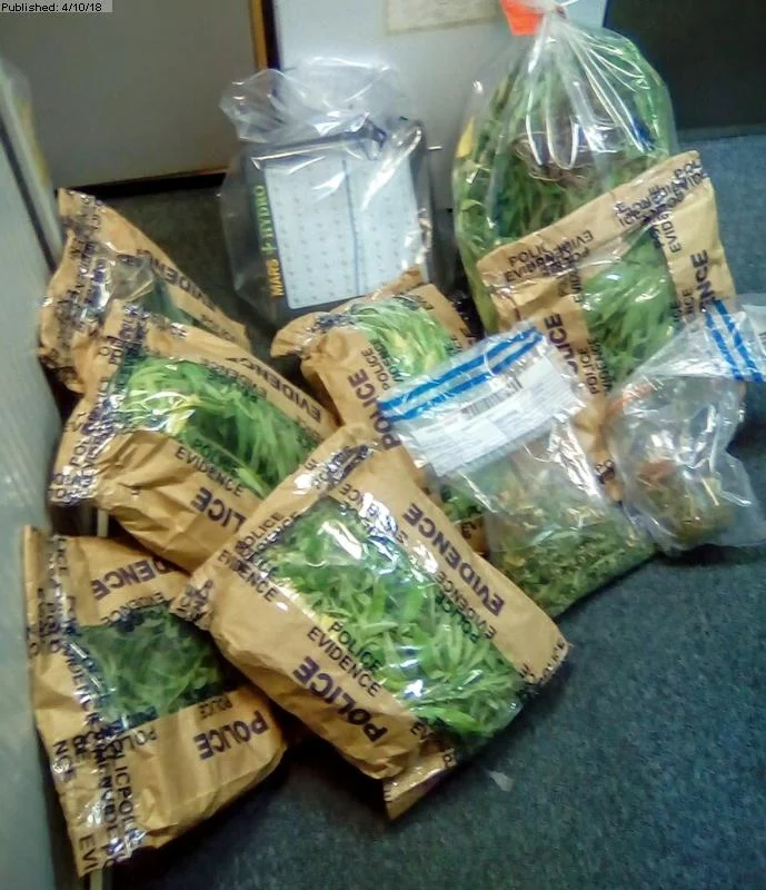 Norland cannabis farm found