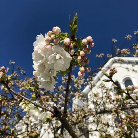 Kensington Gardeners Club
