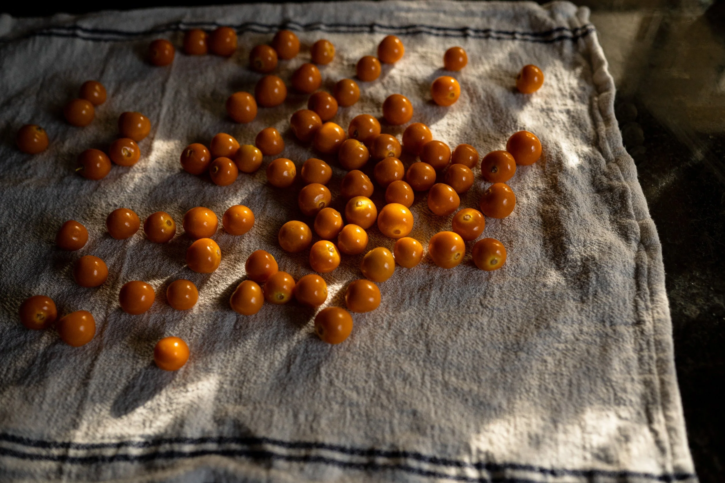 Golden Berries