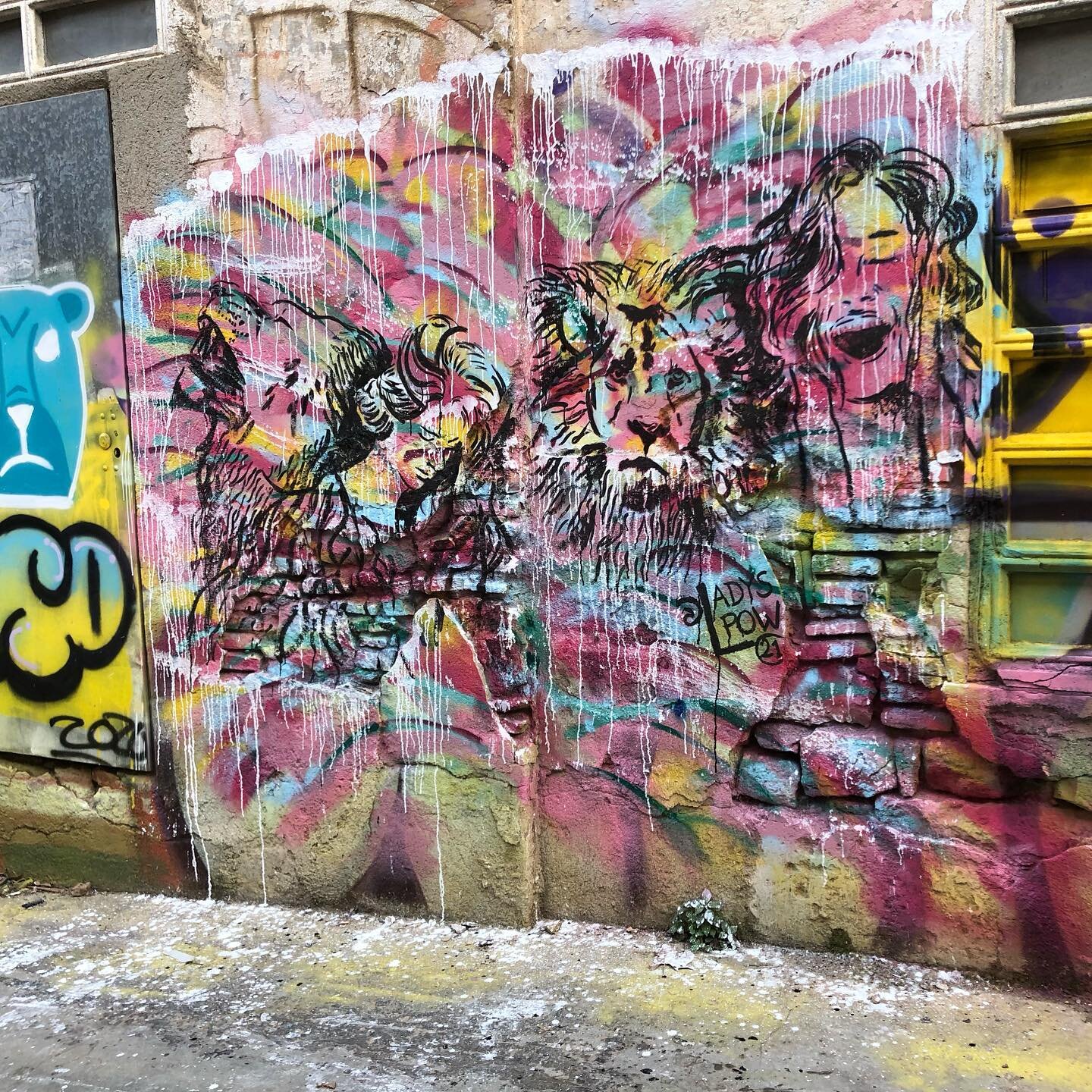 LION x MUJER @ladyspow en Poblenou 
-
-
-
-
-
STREET ART CHARLOTTE
&ldquo;conducting art with passion&rdquo; 
-
-
-
-
-
Cr&eacute;dit photo: @charlottemahdavy 
#streetart  #streetart_charlotte
 #graffiti #drawing #painting #stencil #streetart #street