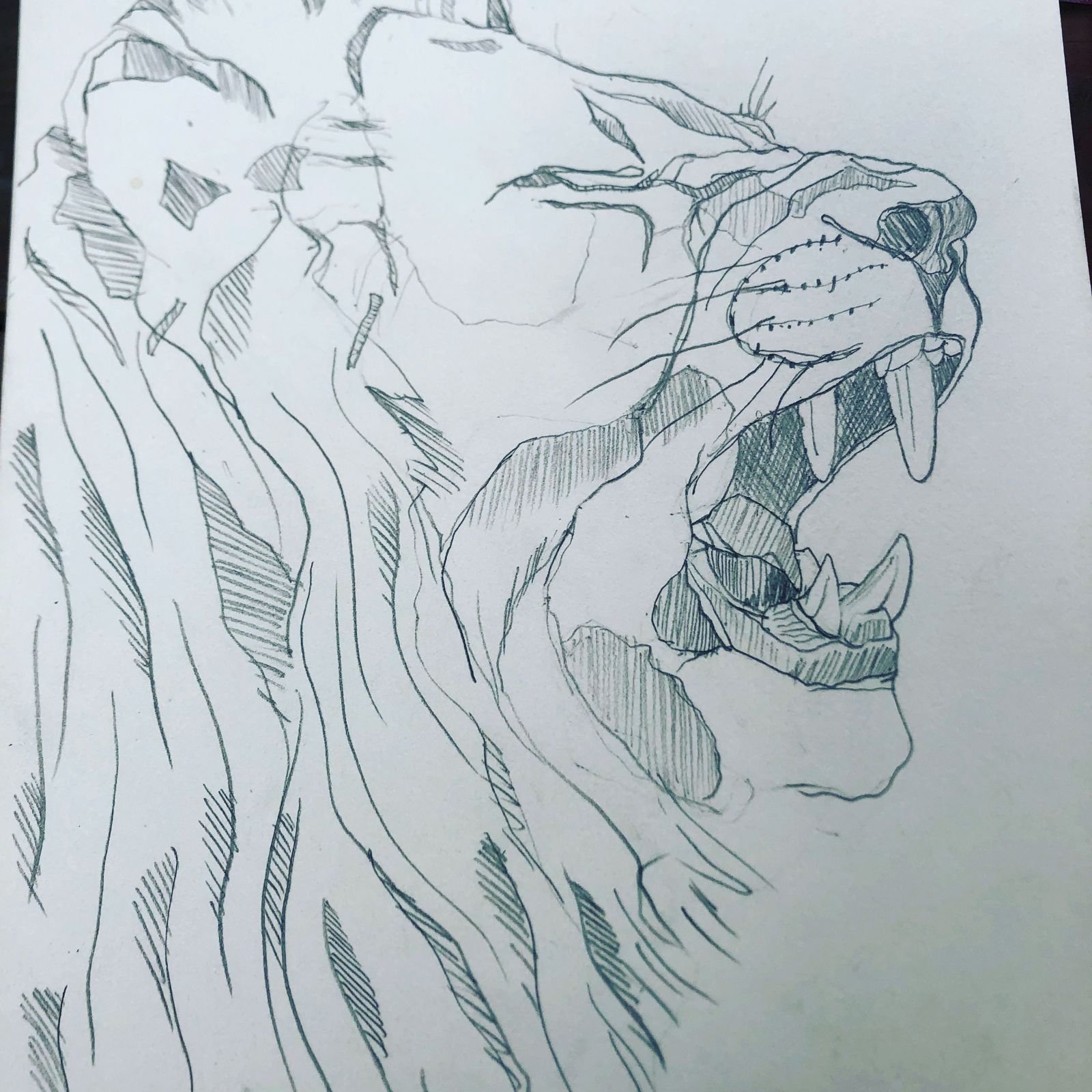 CHARLOTTE MAHDAVY lion.jpeg