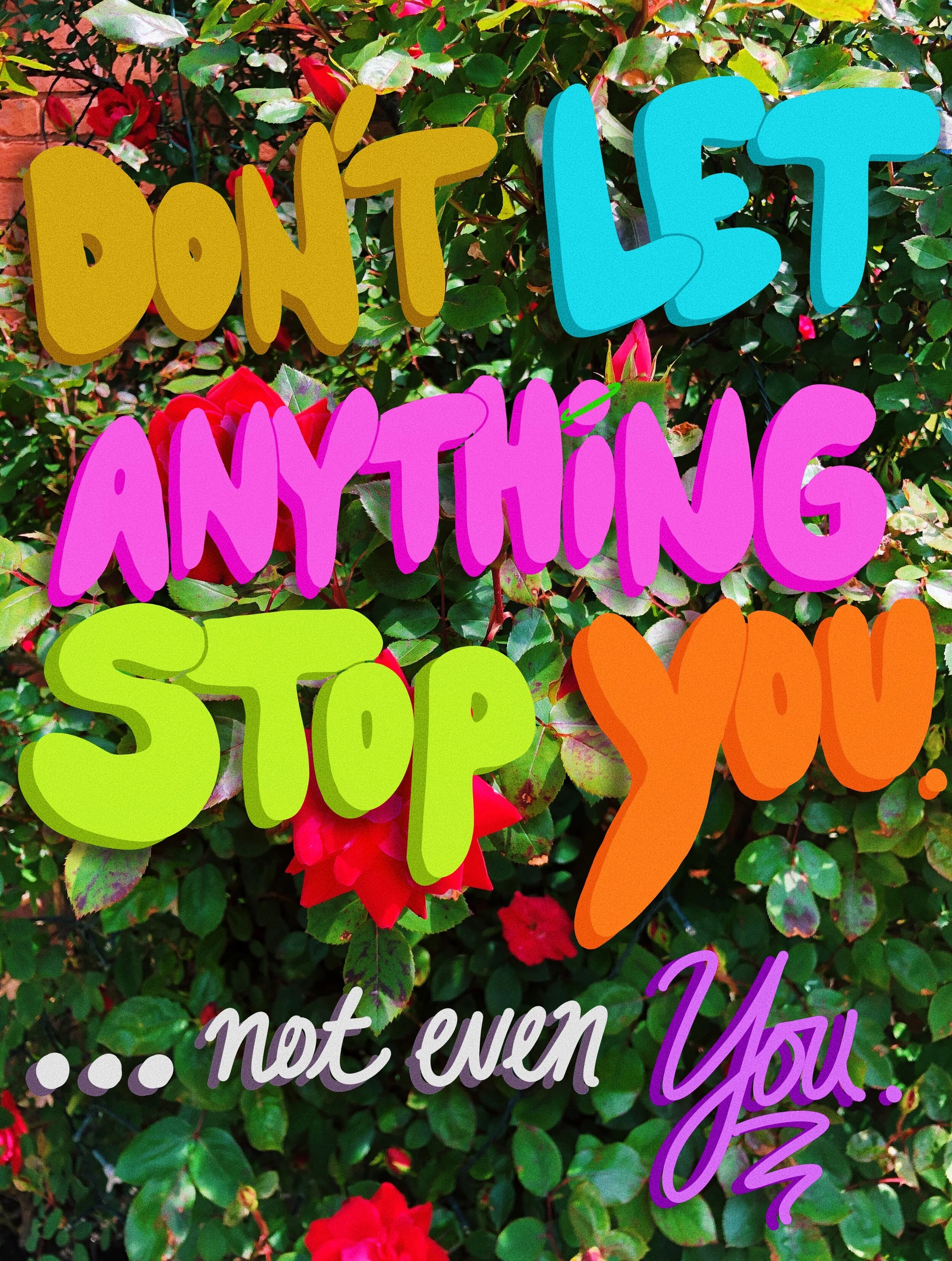 1F596964-F094-420E-A6DA-C8D9A7F5671F 2.JPG