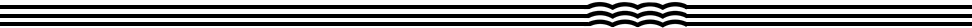 seperator3.png