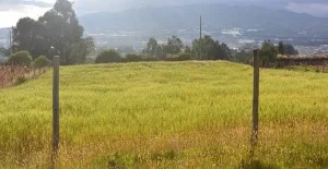 Land for the home is purchased