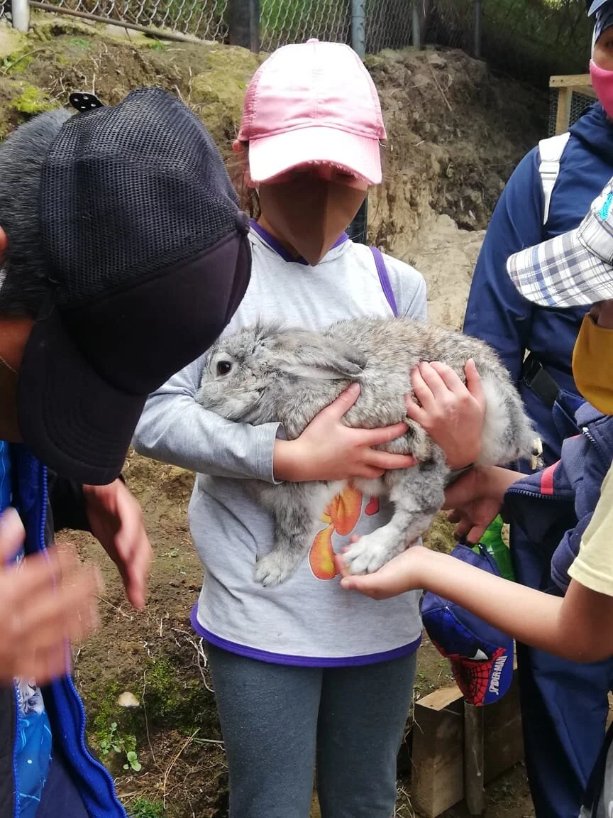 Out and About in July