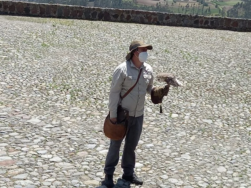 Summer FUNd Outings - Condor Park