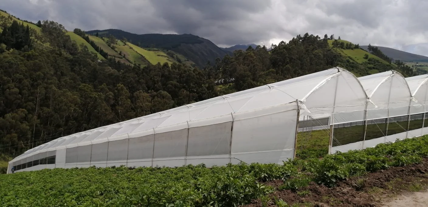 Greenhouse Construction is Complete!