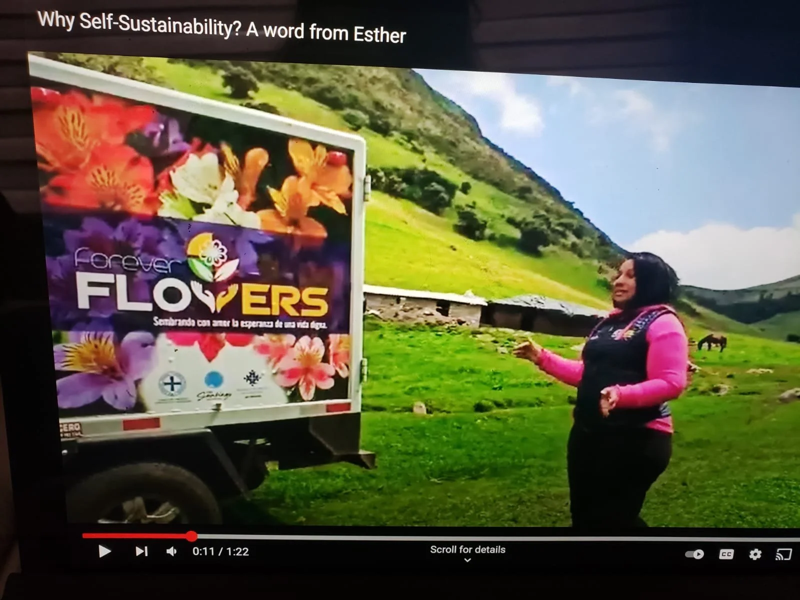 What Do You Mean Self-Sustaining?