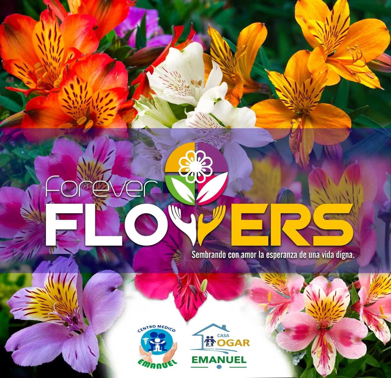 Forever Flowers Logo.jpeg