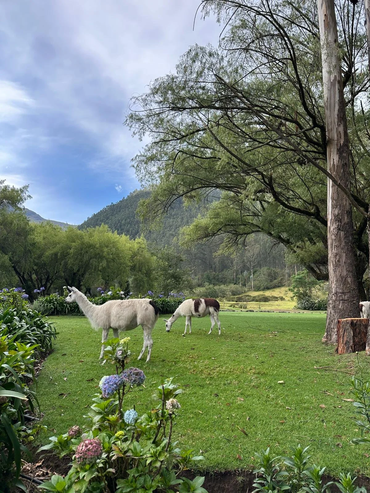 WhatsApp Image 2025-10-07 at 7.49.52 AM.jpeg