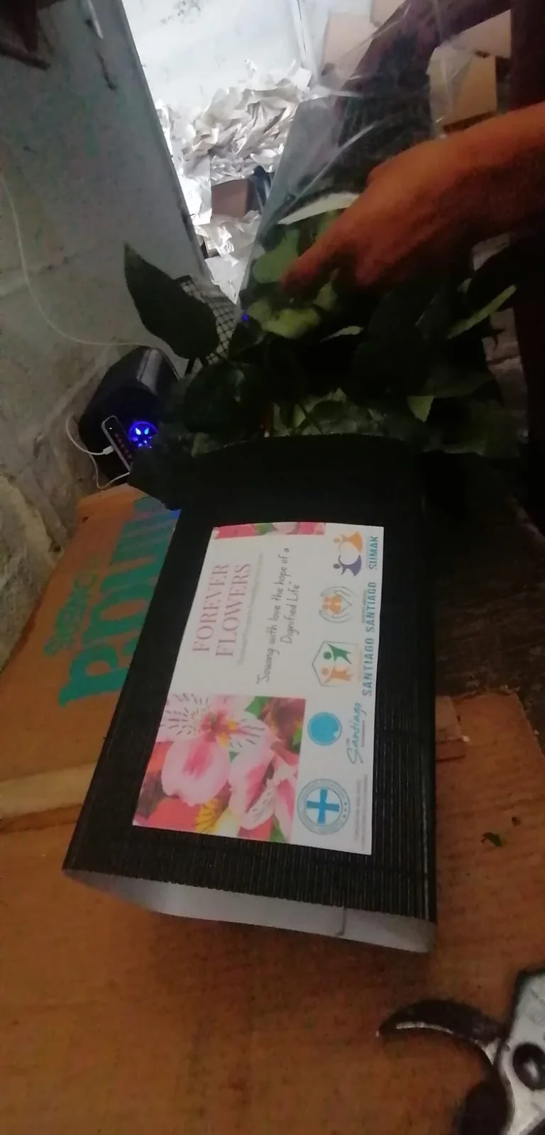 WhatsApp Image 2026-02-04 at 6.33.54 AM.jpeg