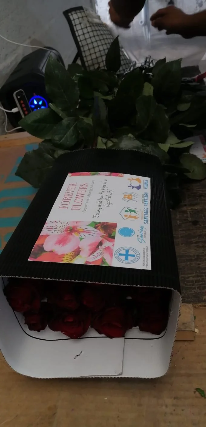 WhatsApp Image 2026-02-04 at 6.33.54 AM (1).jpeg