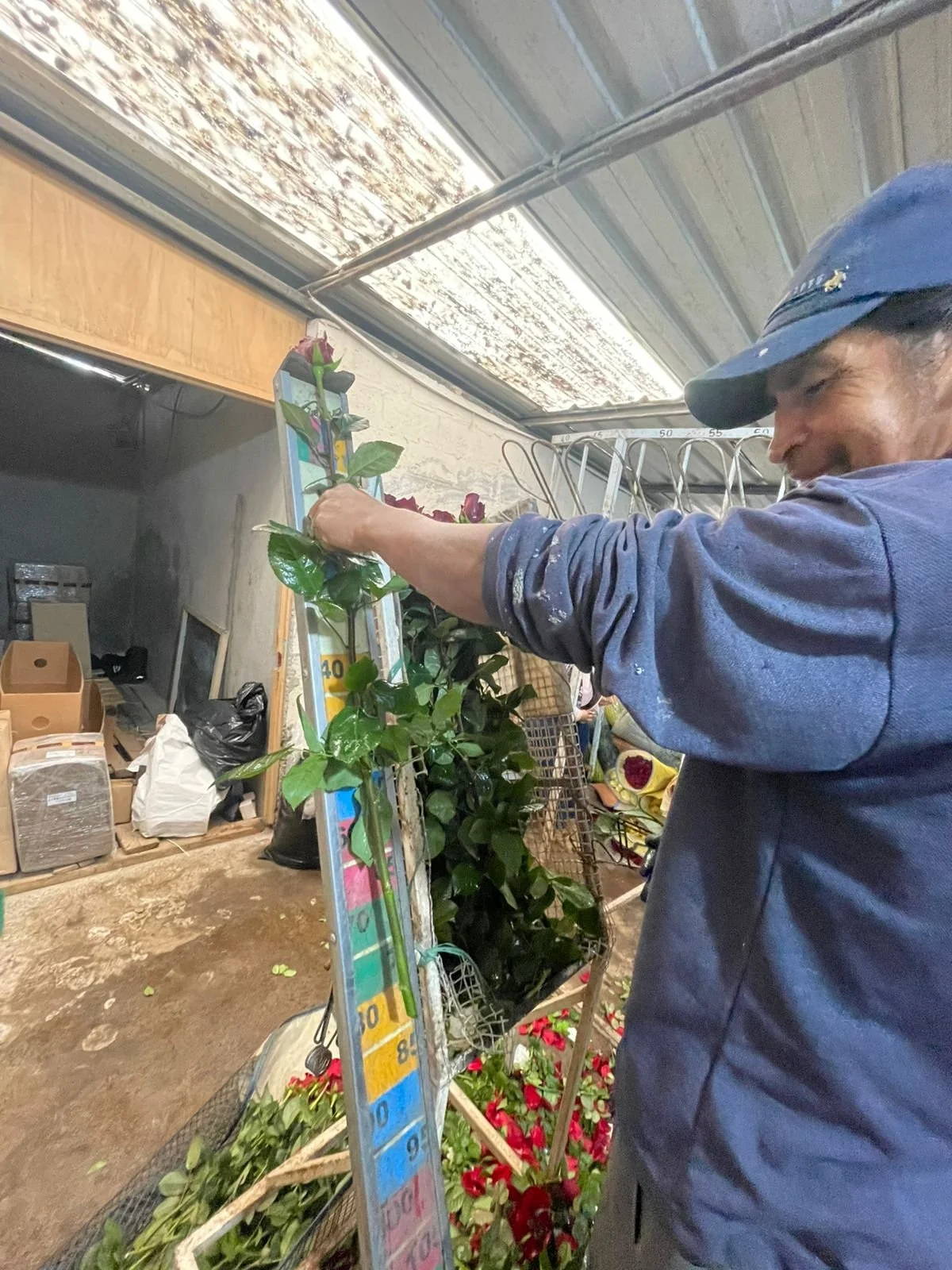 WhatsApp Image 2026-02-04 at 6.33.53 AM (1).jpeg