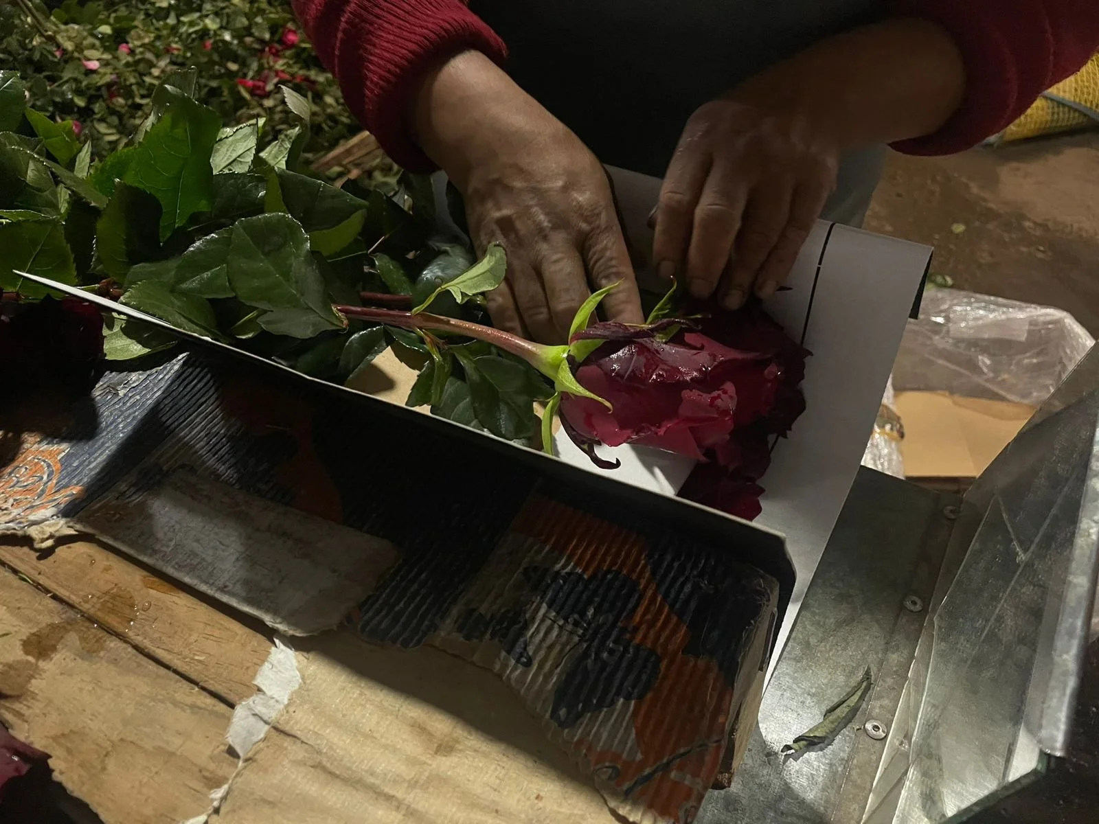 WhatsApp Image 2026-02-04 at 6.33.51 AM.jpeg