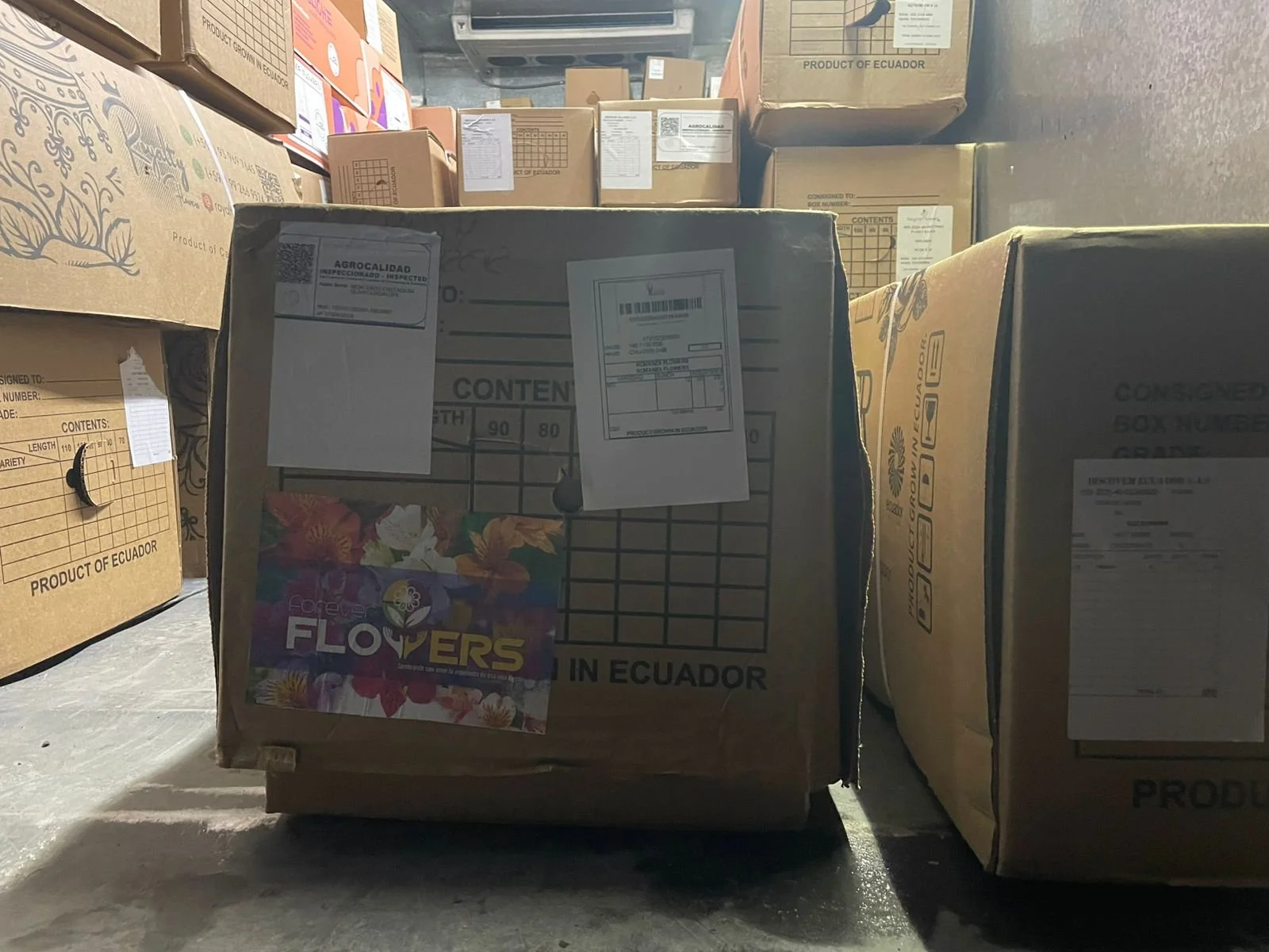 WhatsApp Image 2026-02-04 at 6.27.22 PM.jpeg