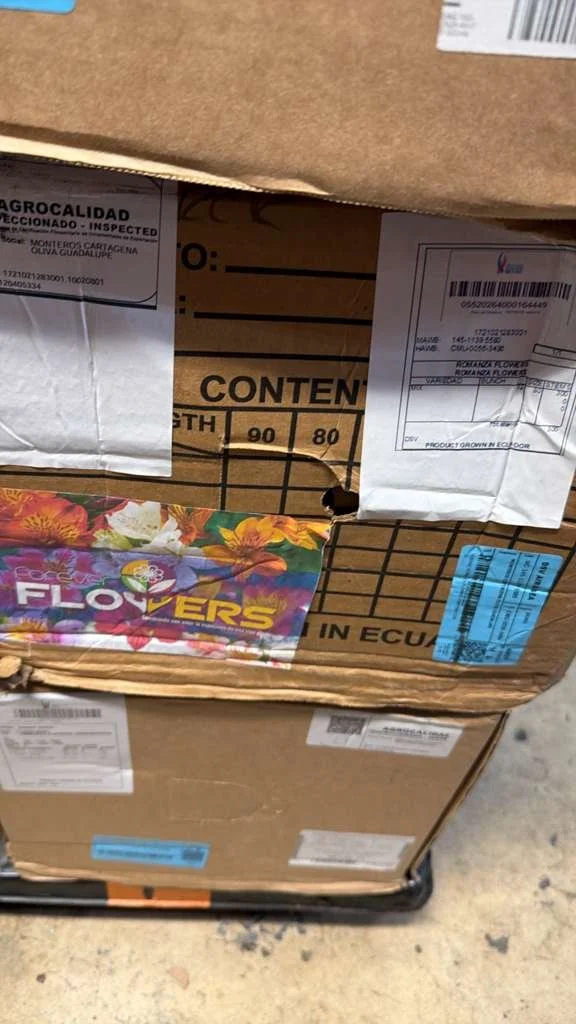 WhatsApp Image 2026-02-07 at 8.49.10 AM.jpeg