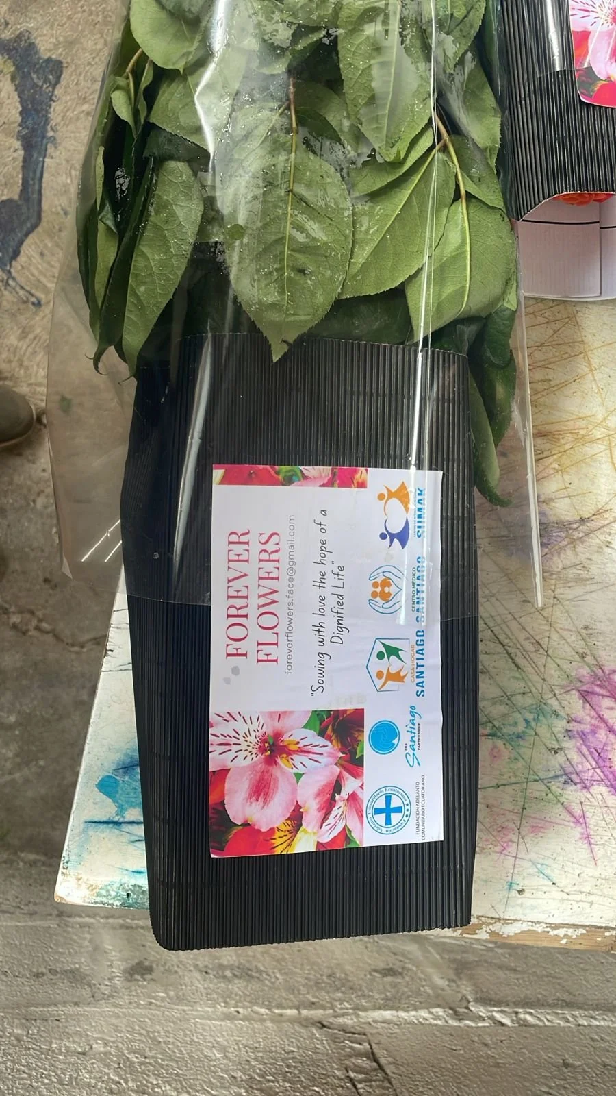 WhatsApp Image 2026-02-04 at 2.58.31 PM.jpeg