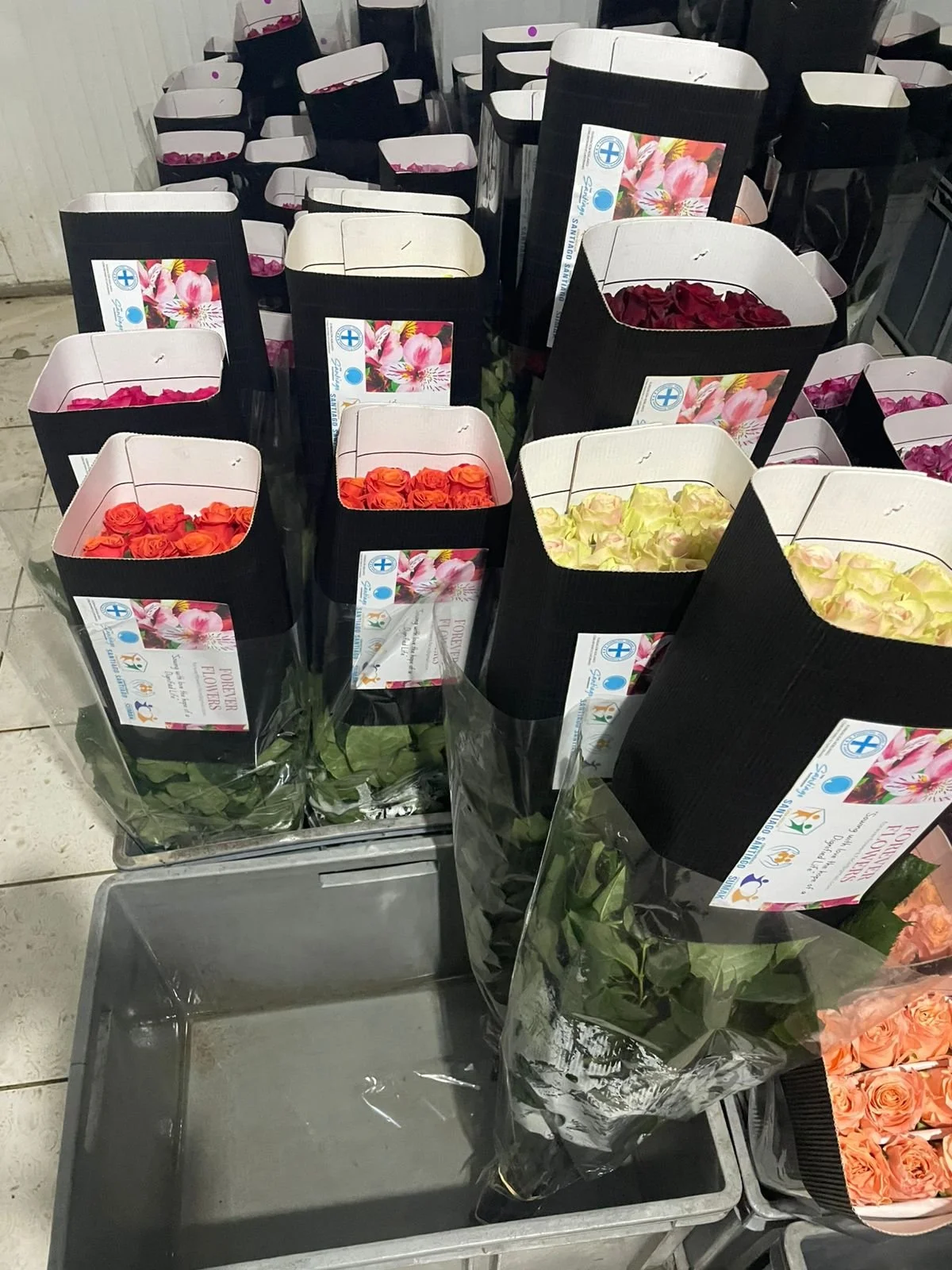 WhatsApp Image 2026-02-04 at 2.58.30 PM (1).jpeg