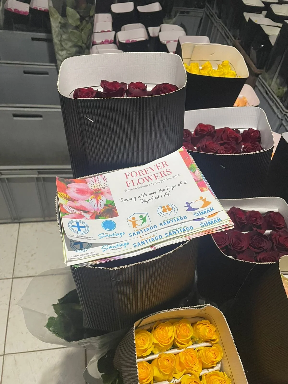 WhatsApp Image 2026-02-04 at 2.58.30 PM.jpeg