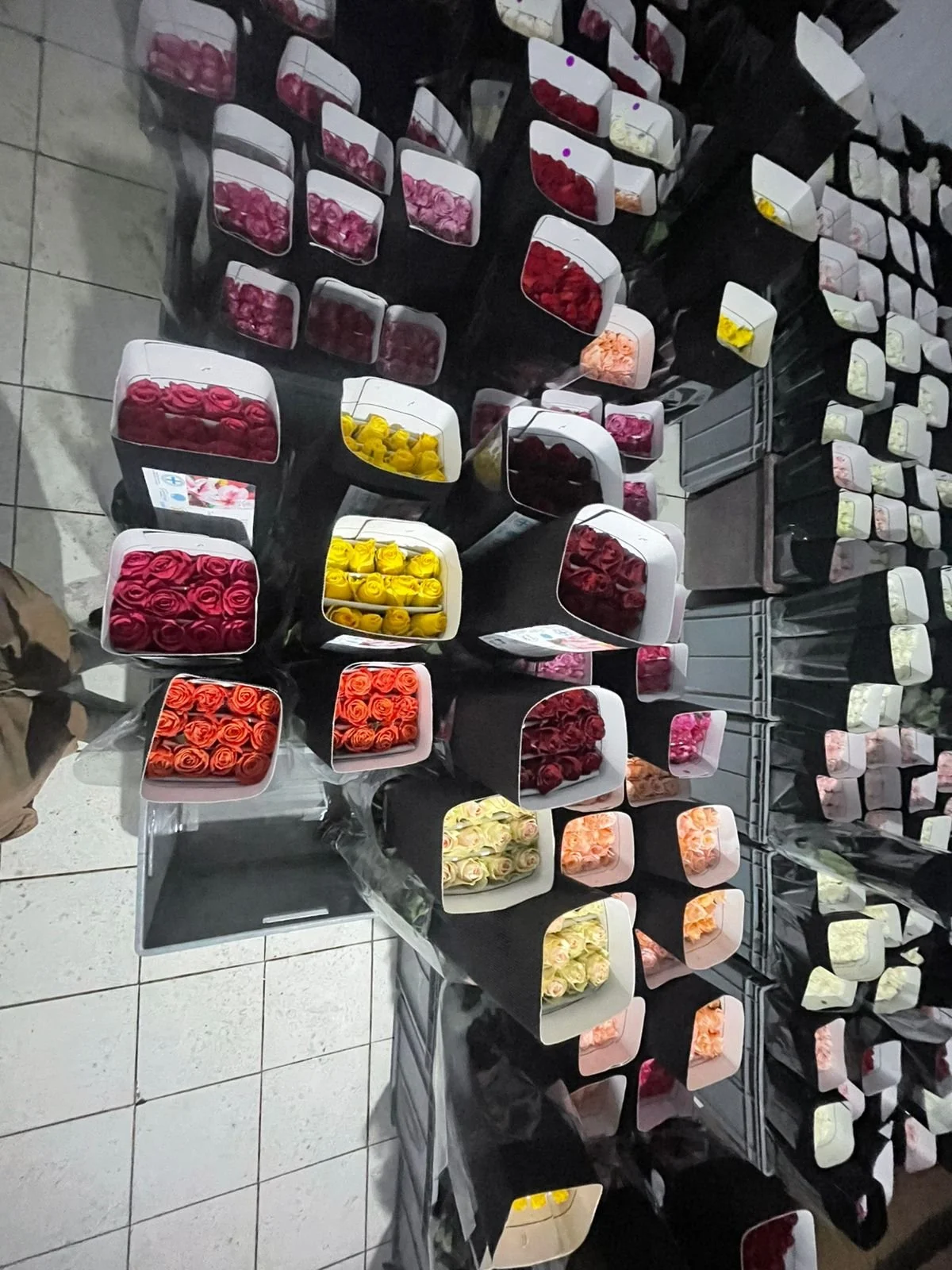 WhatsApp Image 2026-02-04 at 2.58.29 PM (1).jpeg