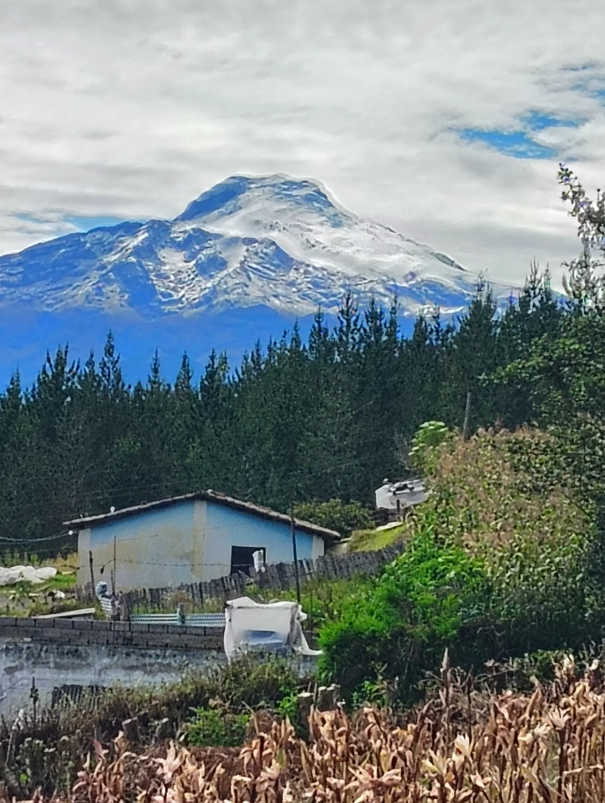 IMG_20260610_094004336_HDR.jpg