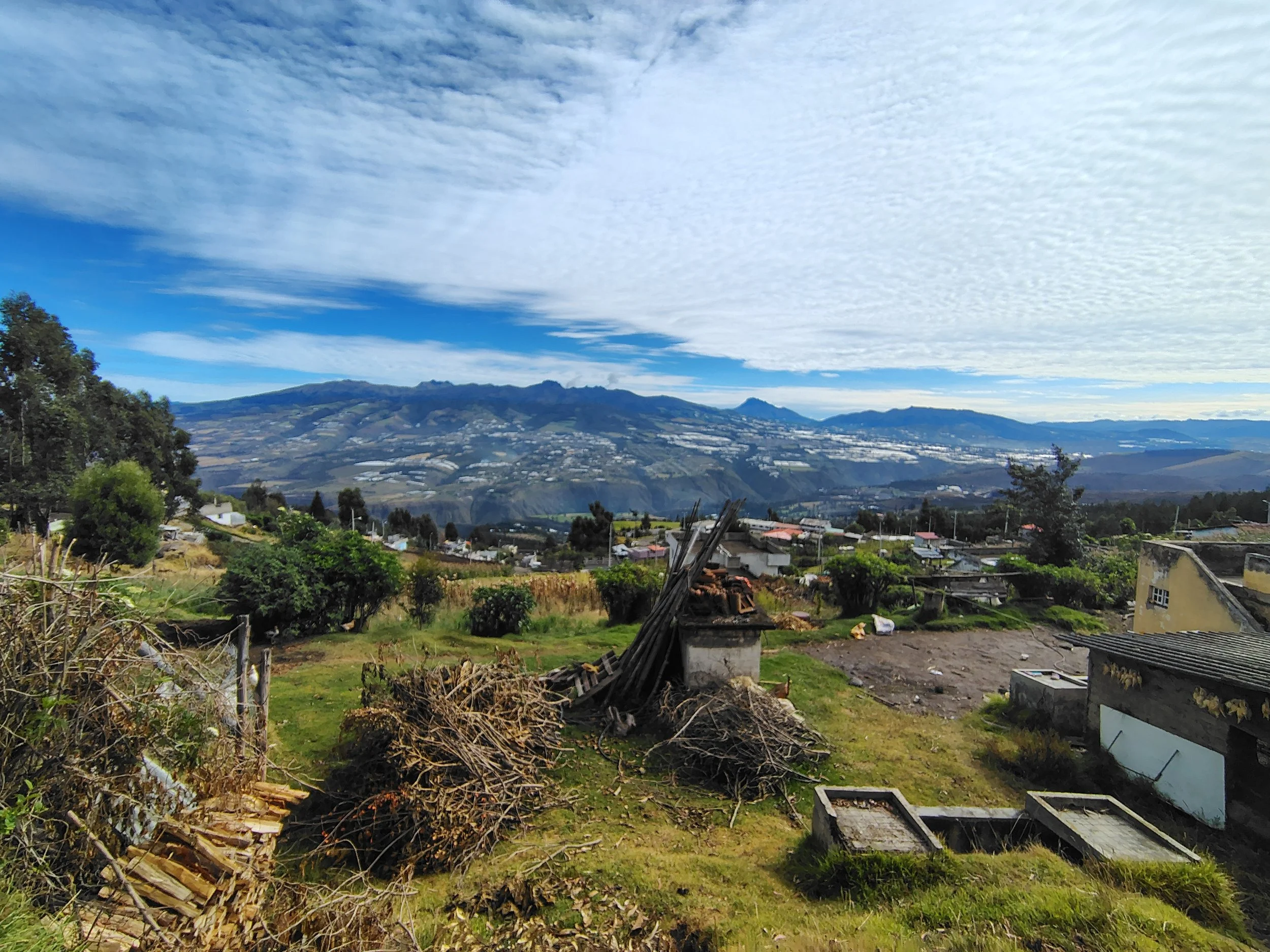 IMG_20260610_090121830_HDR.jpg