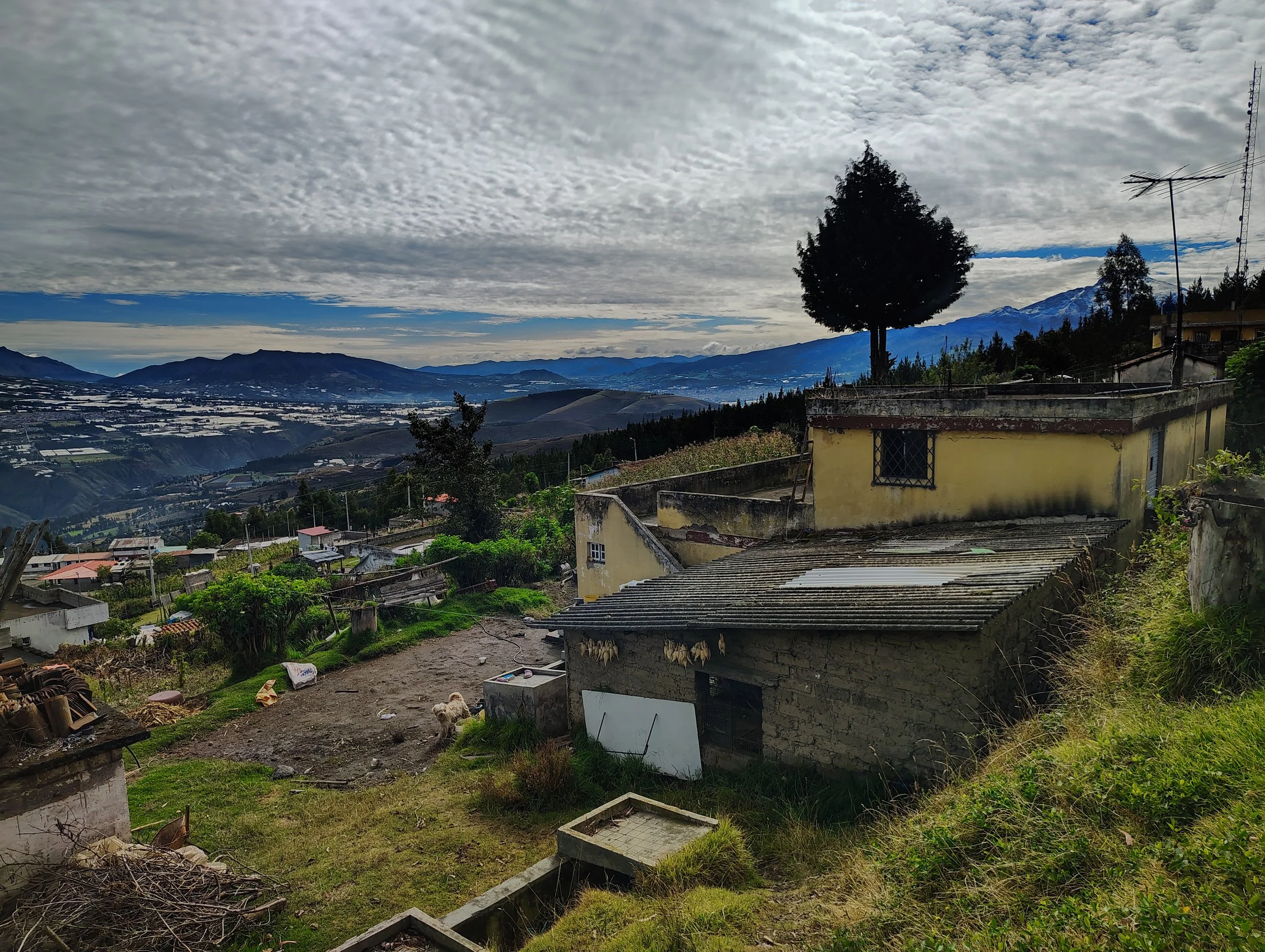 IMG_20260610_090207918_HDR.jpg