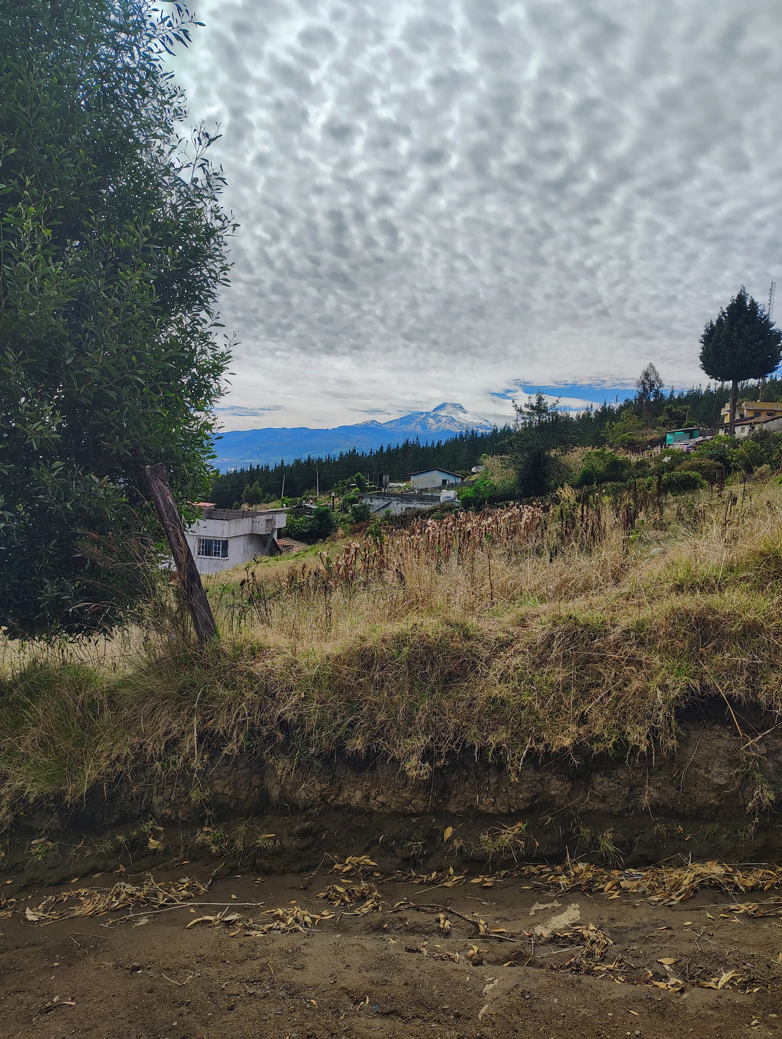 IMG_20260610_093956366_HDR.jpg