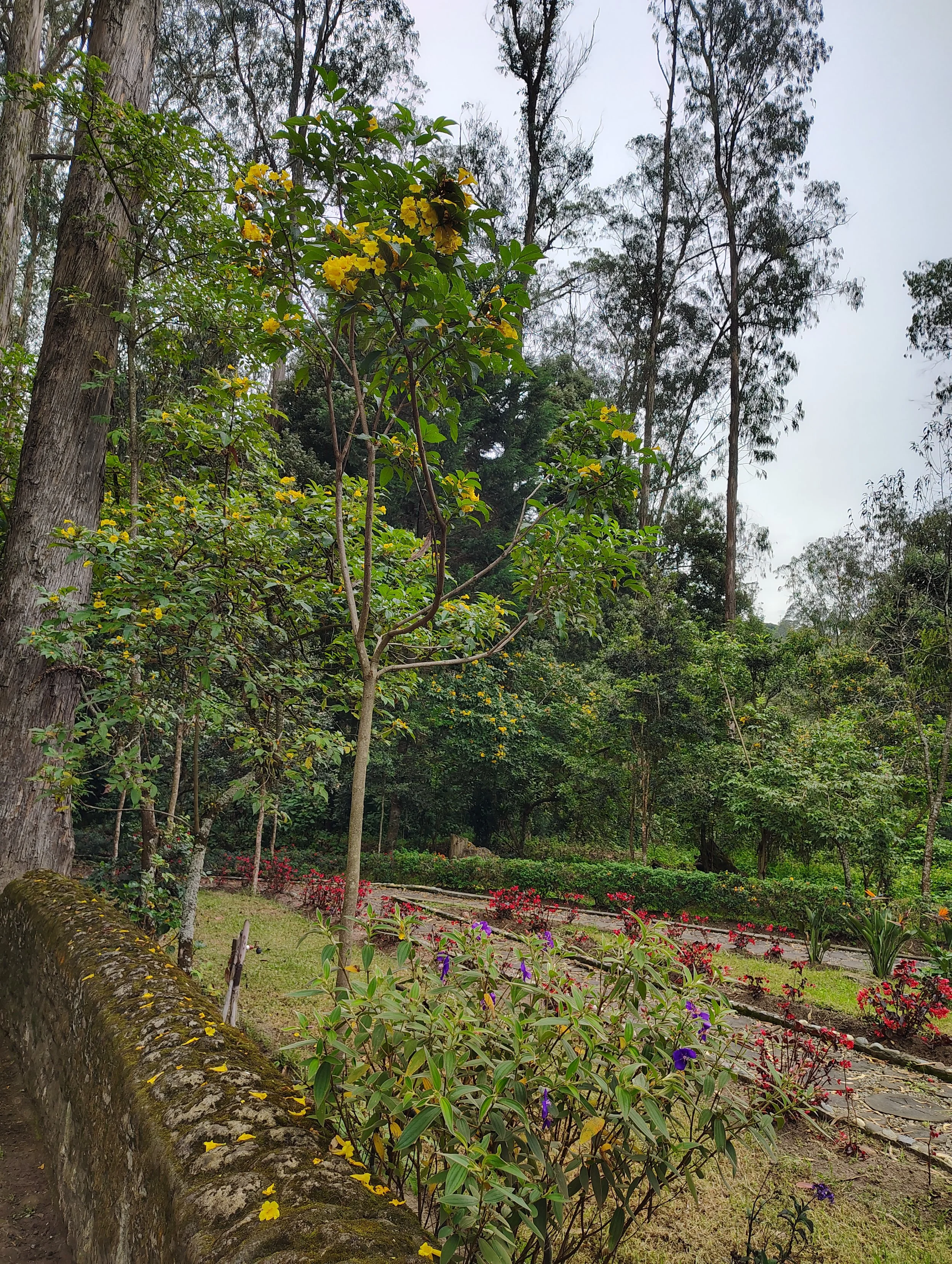 IMG_20260606_093823864_HDR.jpg