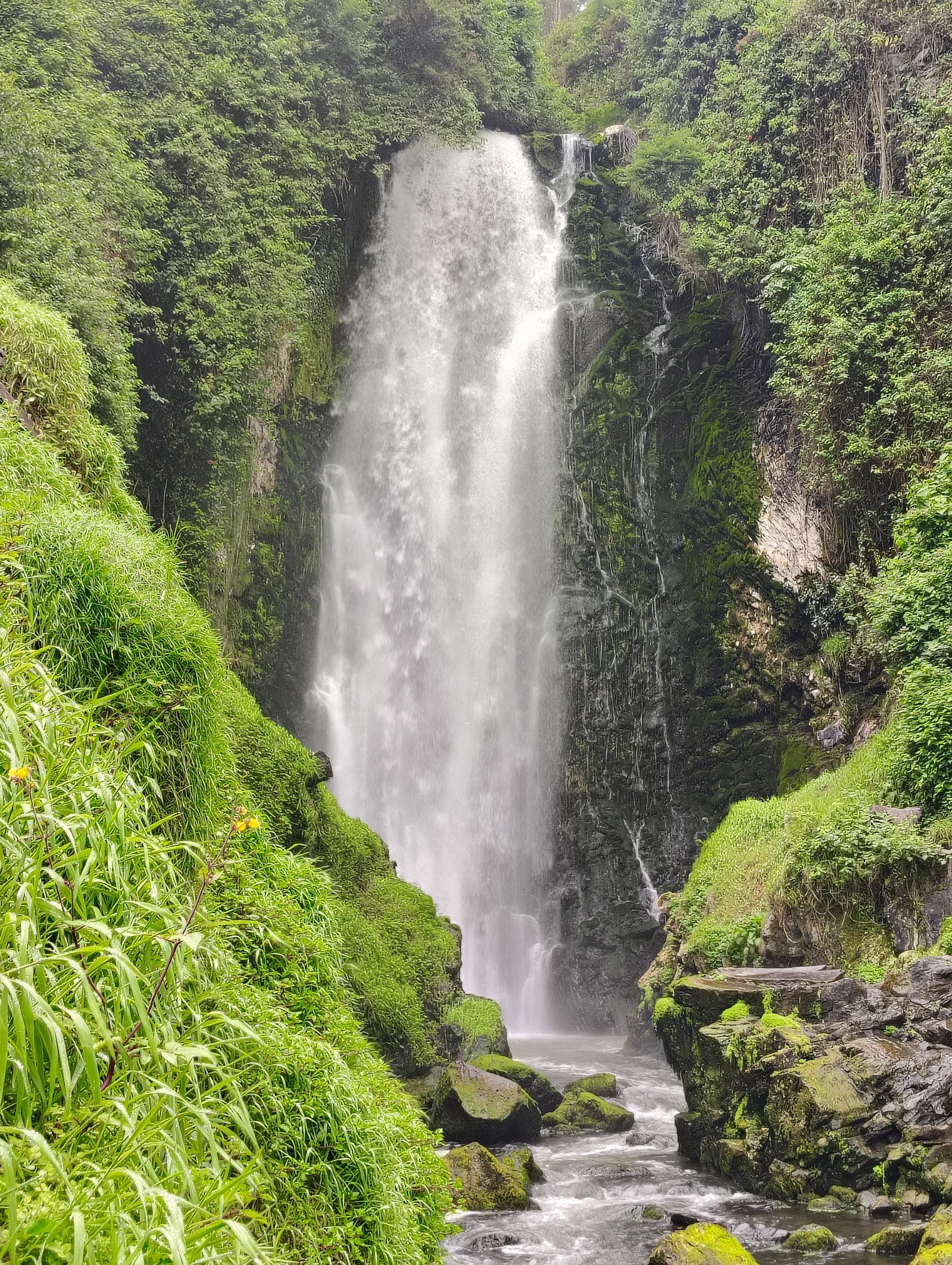 IMG_20260606_095242868_HDR.jpg