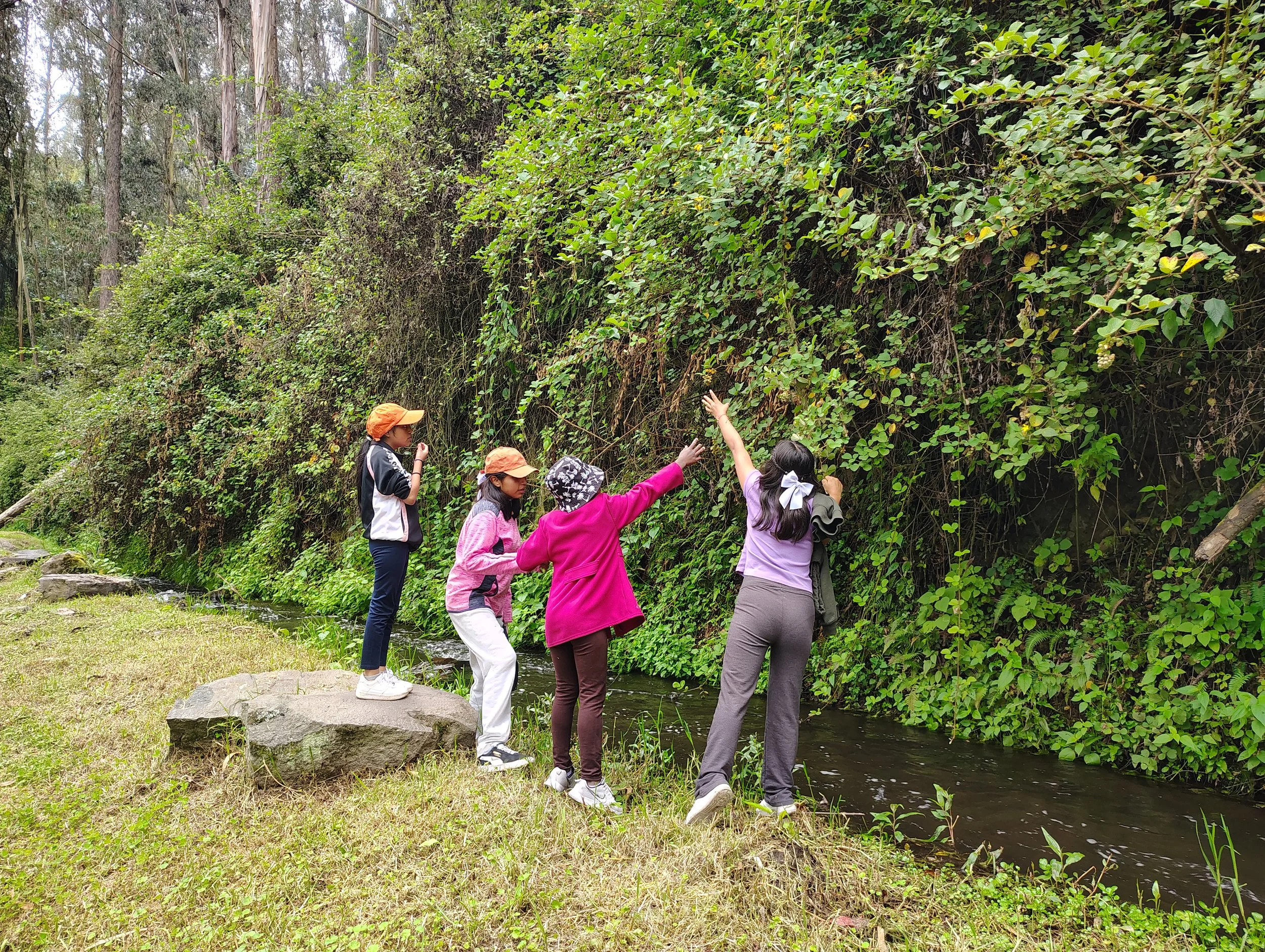 Blackberries, Zip Lines, and God’s Promises