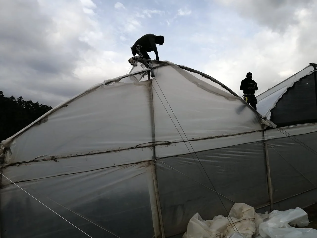 WhatsApp Image 2026-09-22 at 3.17.42 PM.jpeg