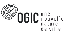 LOGO OGIC.png