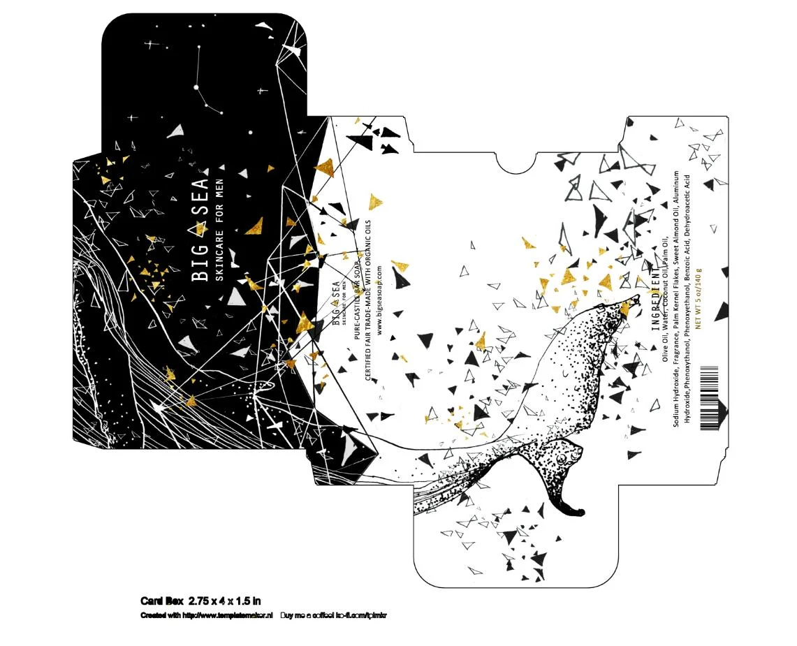 DanlinZ_Illustration_Design_package_template©2018_danlinz.com.jpg
