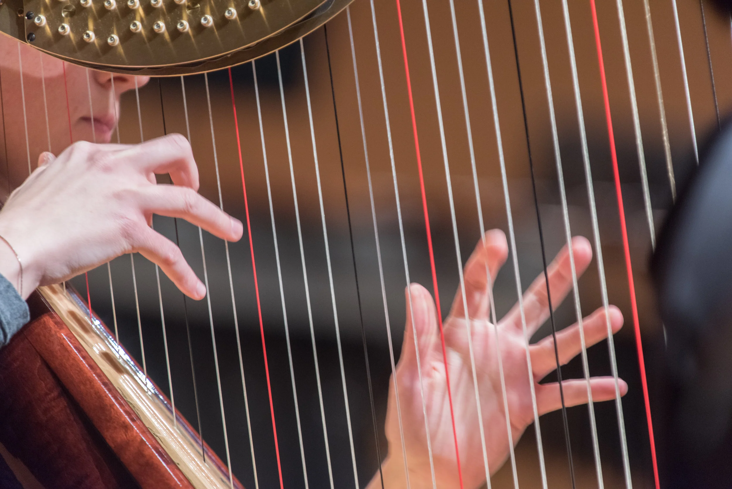 Copy of 810_5294_0112.jpg