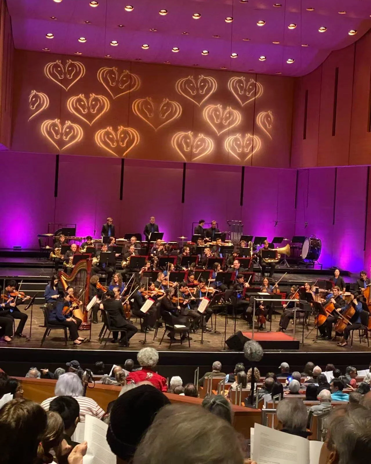 Missed 𝗧𝗵𝗲 𝗦𝗼𝘂𝗻𝗱 𝗼𝗳 𝗦𝗽𝗿𝗶𝗻𝗴 in person? The full concert recording streams LIVE this Friday, February 20 at 7:00 PM ET on YouTube! ✨

Relive the festive energy and the joy of welcoming the Year of the Horse from wherever you are. Set yo