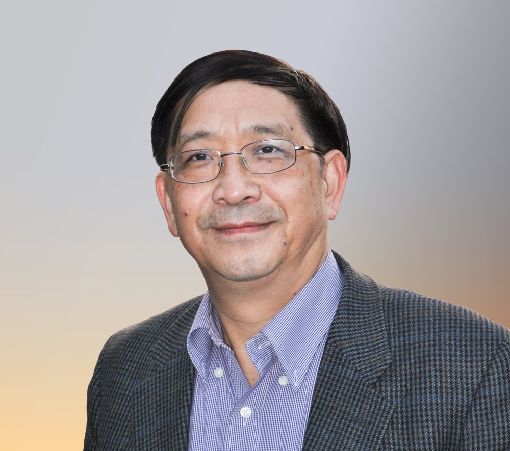 Su Wei 苏炜