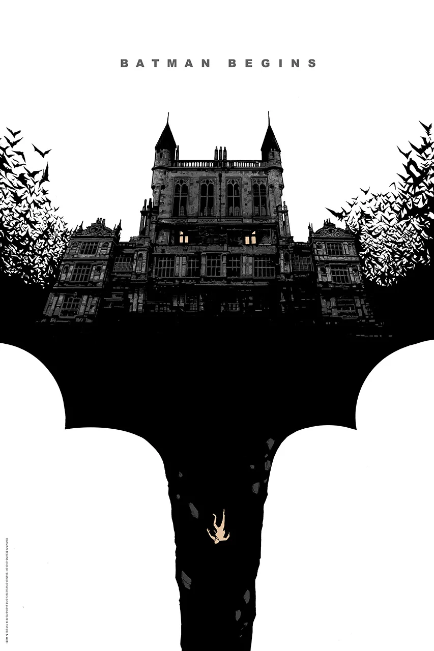BATMAN BEGINS VARIANT