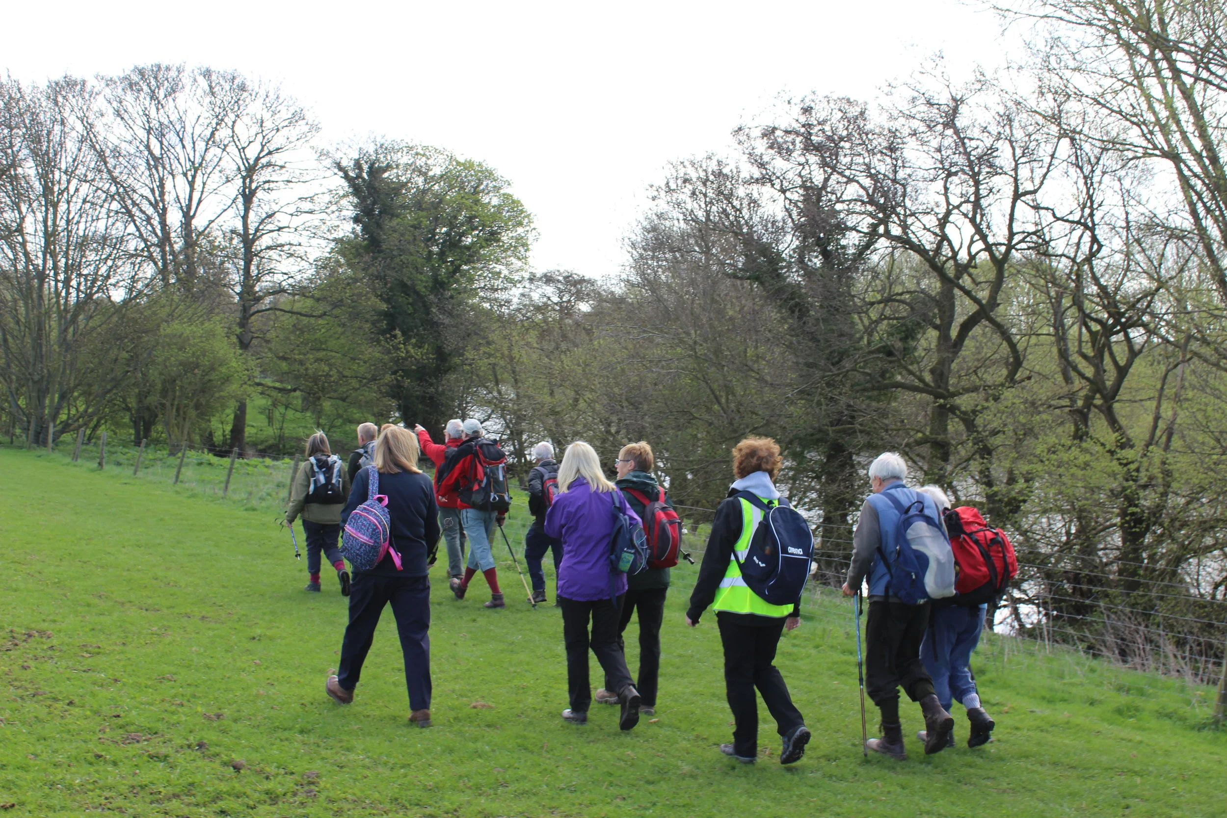 Broken Scar - Hurworth Guided Walk