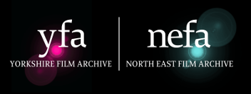 NEFA logo.png