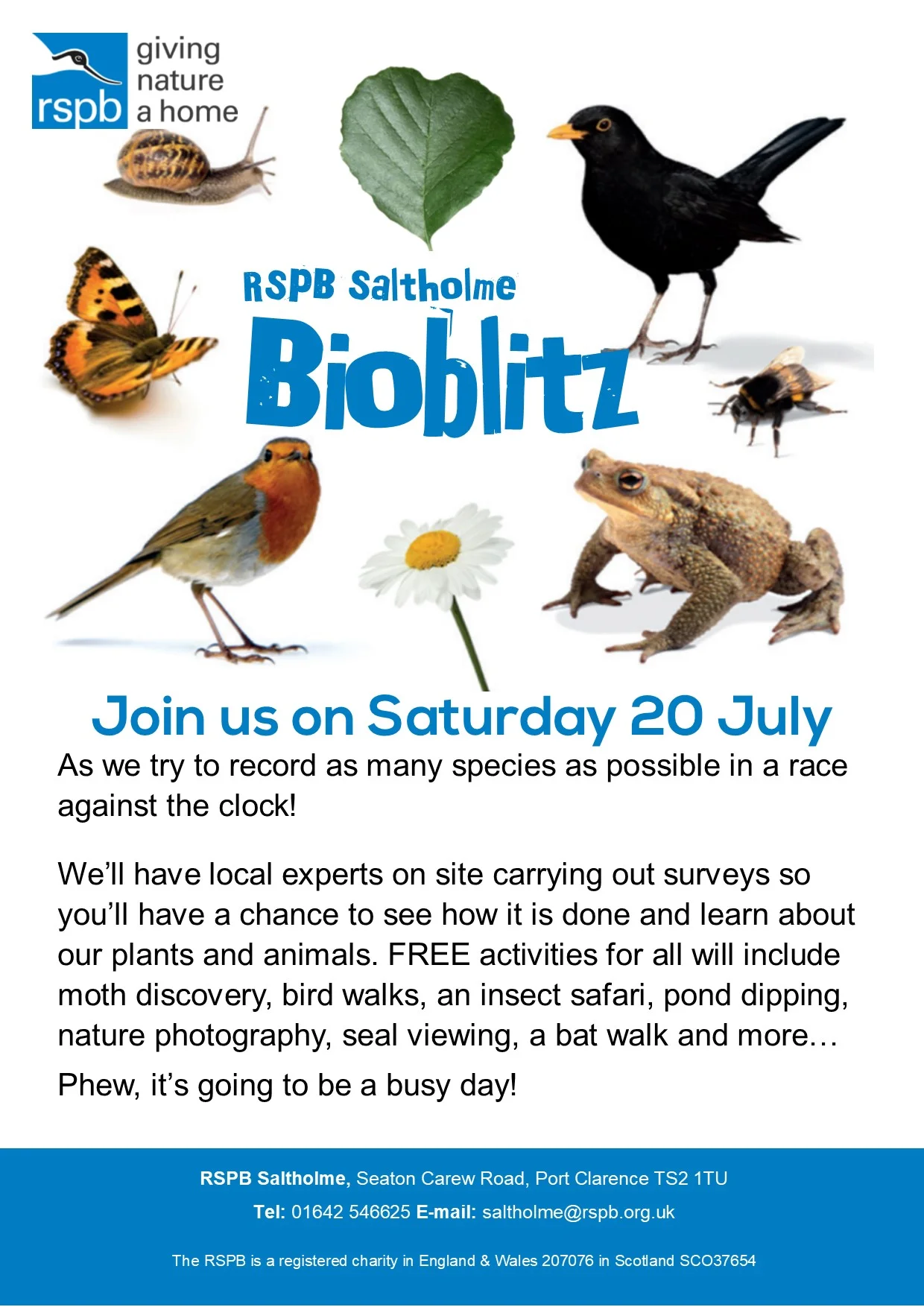 Bioblitz Polly.jpg
