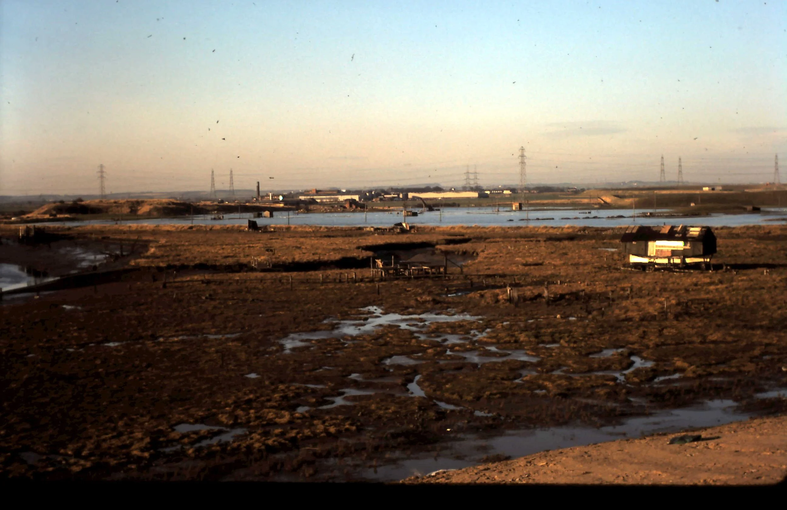 Greatham View 1983.JPG