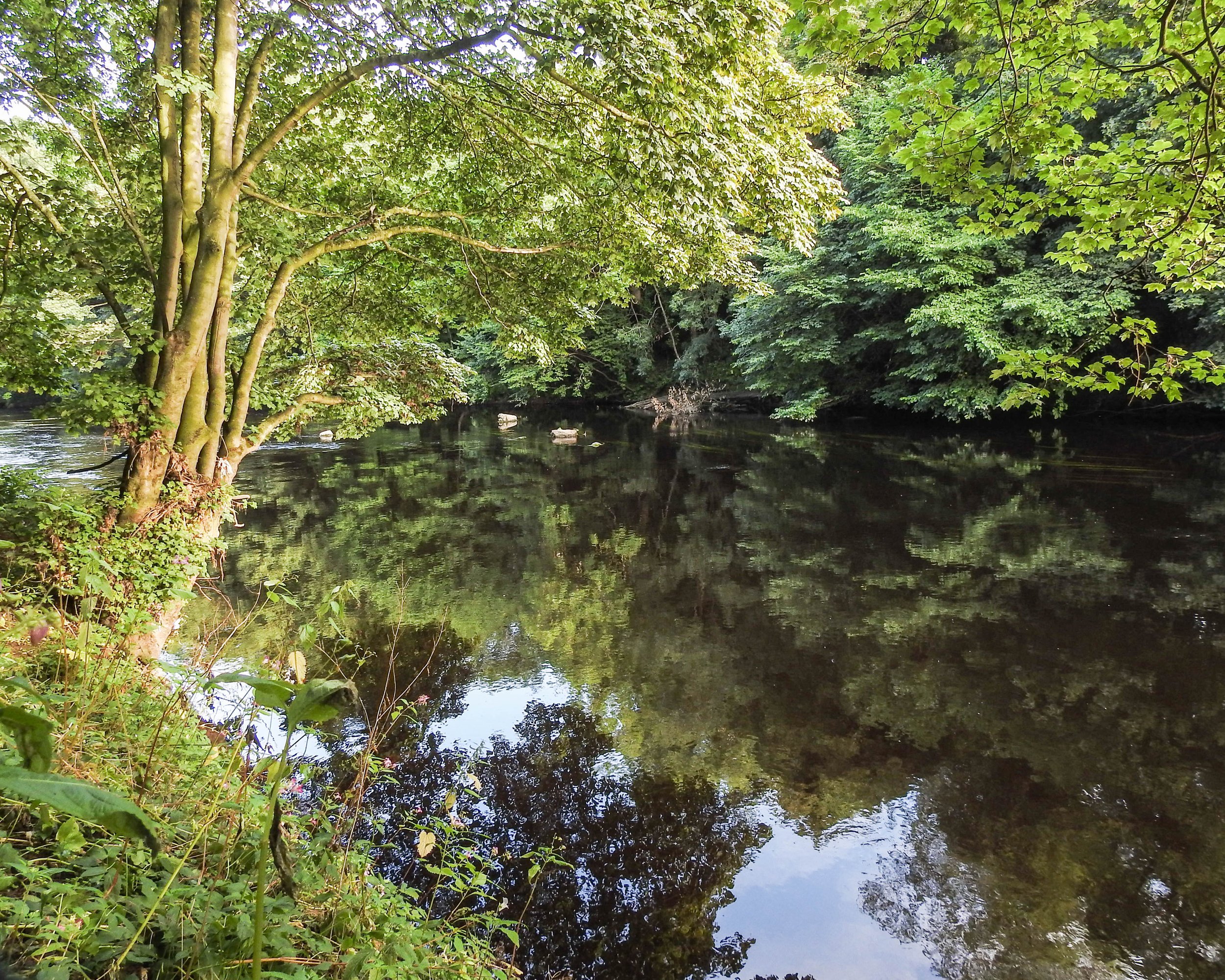 The Bridge and River at Low Dinsdale (2).jpg