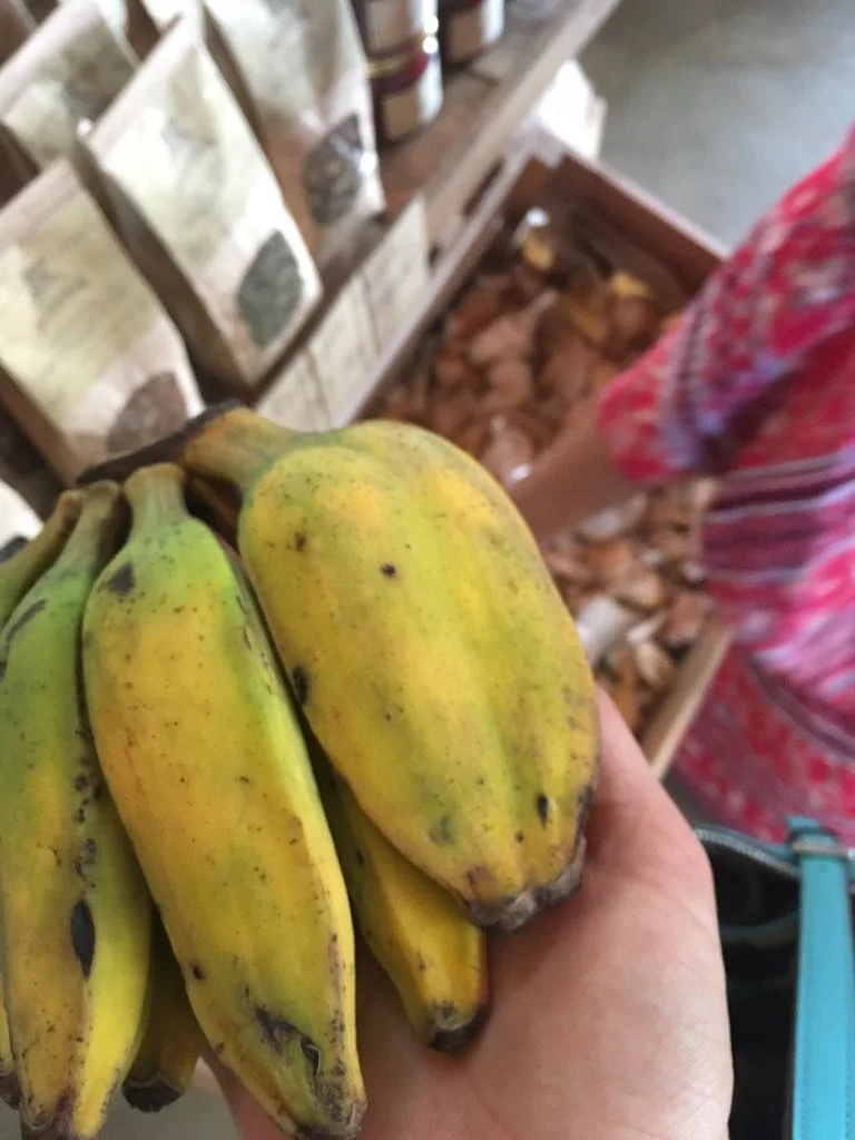 bananas come in natural packaging, you dont need a bag!