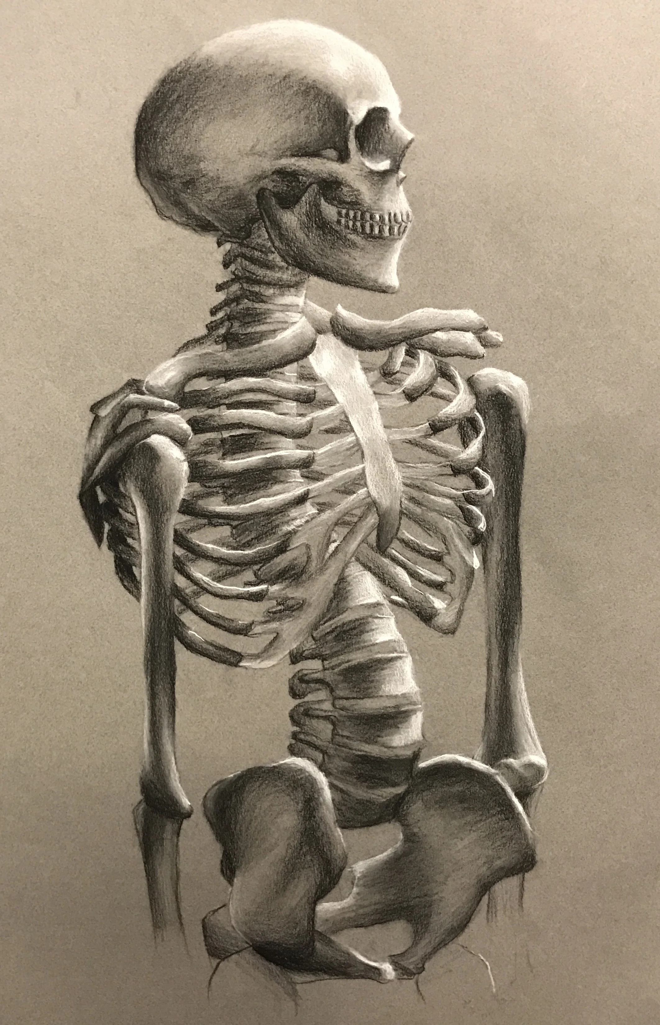 skeleton_grainger.jpg