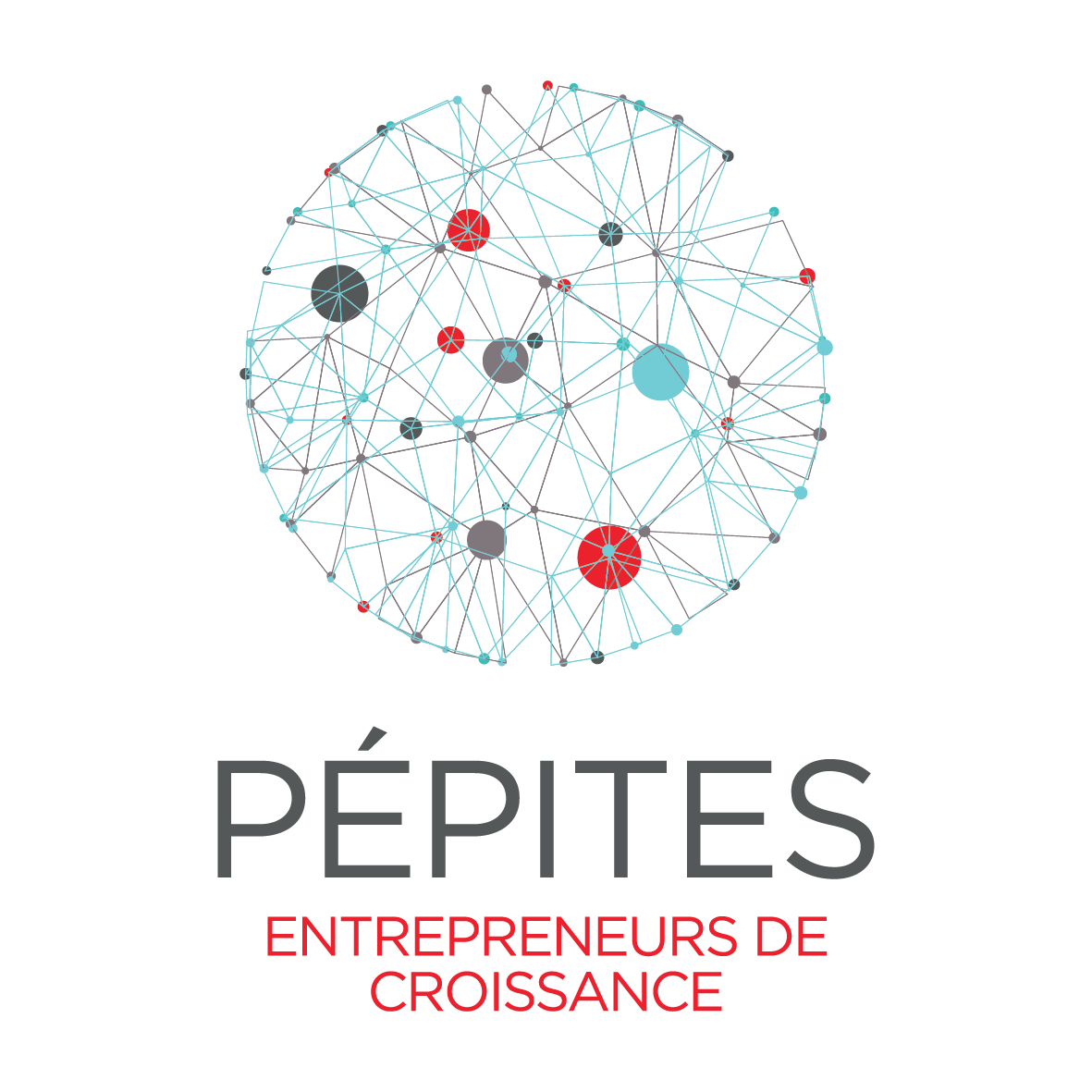 logo_pepites_quadri.png